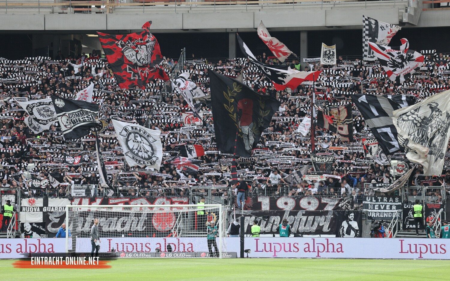 Eintracht Frankfurt – 1. FSV Mainz 05 3-0 (8)