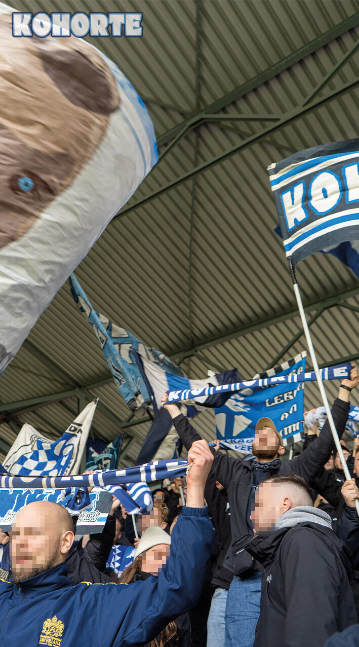 MSV Duisburg – Hallescher FC 2-1 (10)