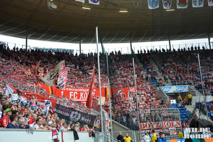 TSG Hoffenheim vs 1. FC Köln (1-1) (18)