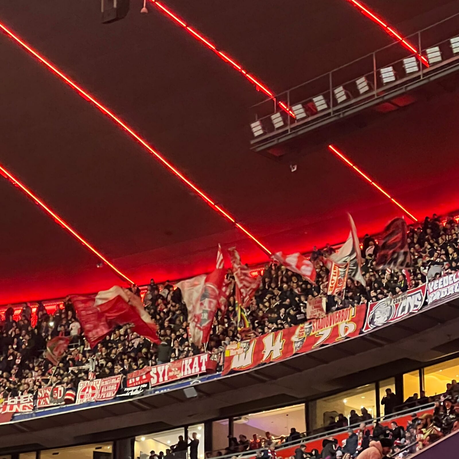 FC Bayern München – 1. FC Köln 1-1 (15)