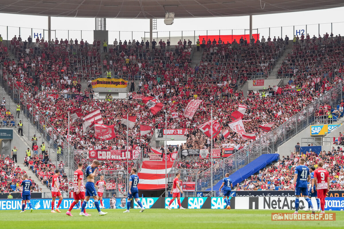 TSG Hoffenheim – SC Freiburg 1-2 (14)