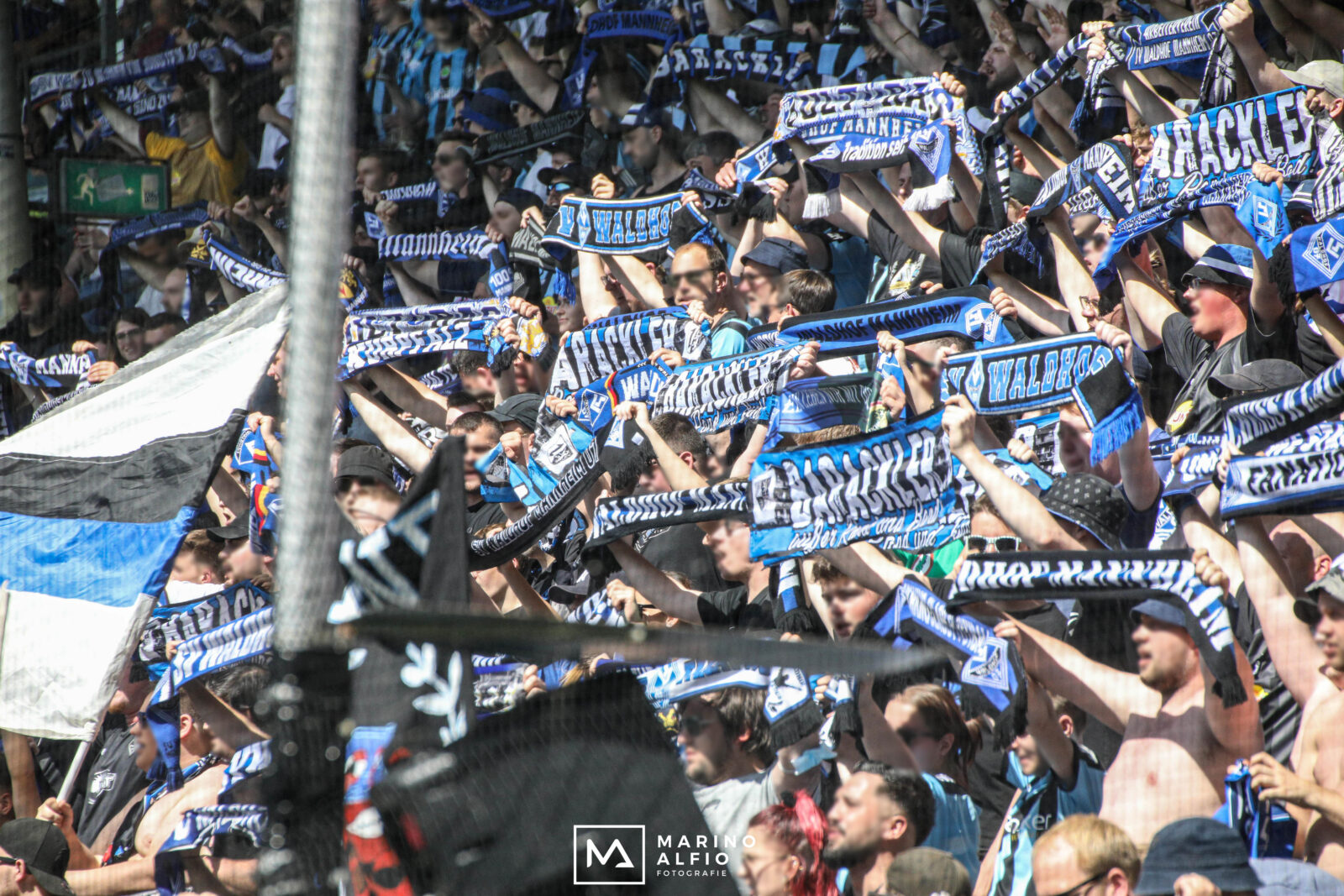 SV Waldhof Mannheim – TSV Havelse 7-0