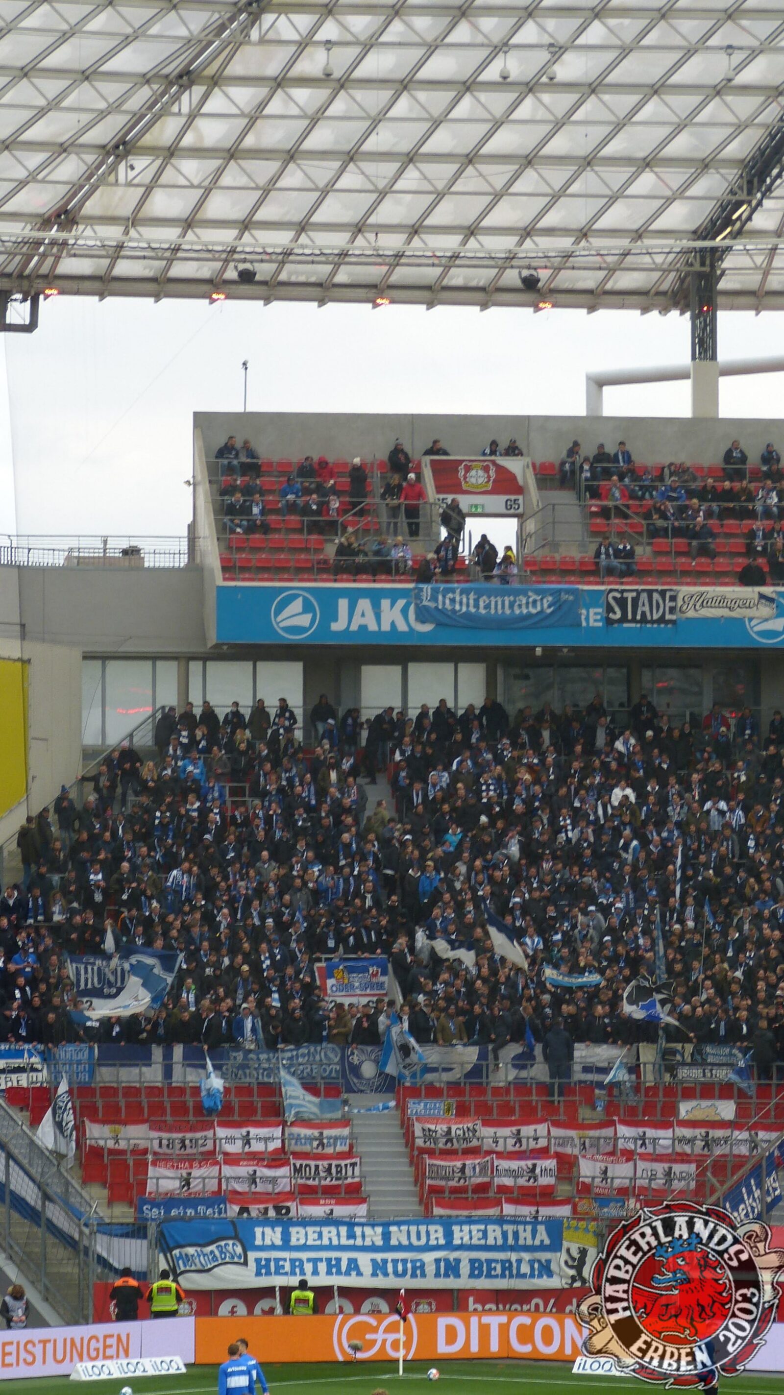 Bayer 04 Leverkusen – Hertha BSC 2-1 (16)