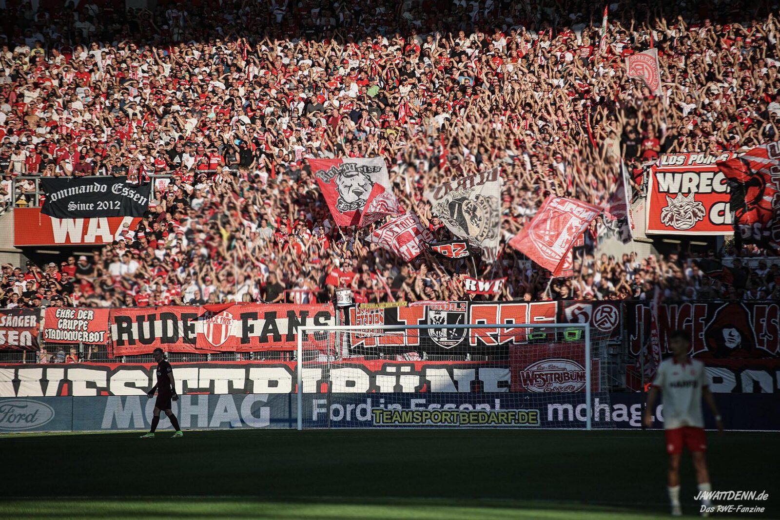 Rot-Weiss Essen – Viktoria Köln 1-4 (4)