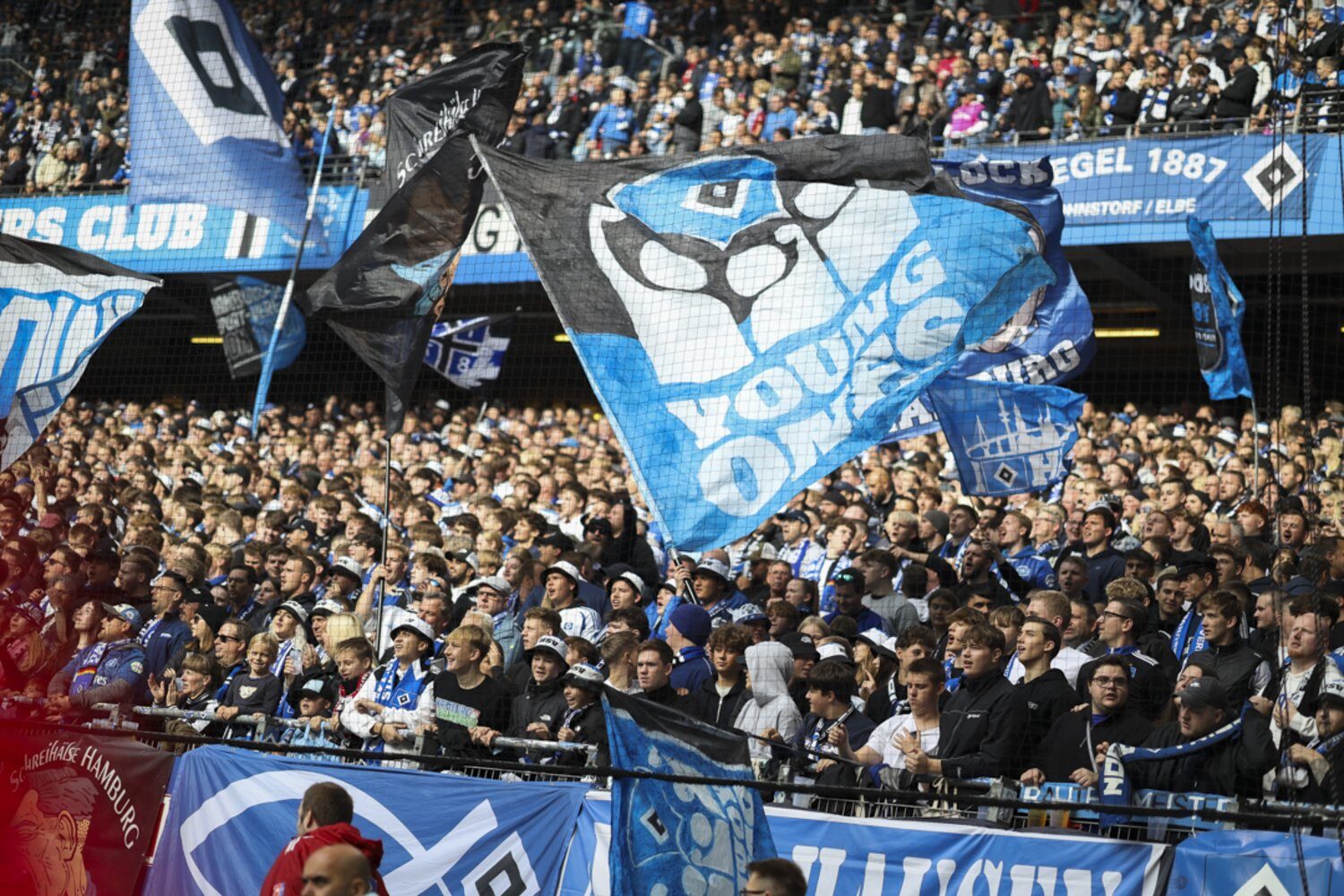 Hamburger SV – 1. FC Magdeburg 3-1 (19)