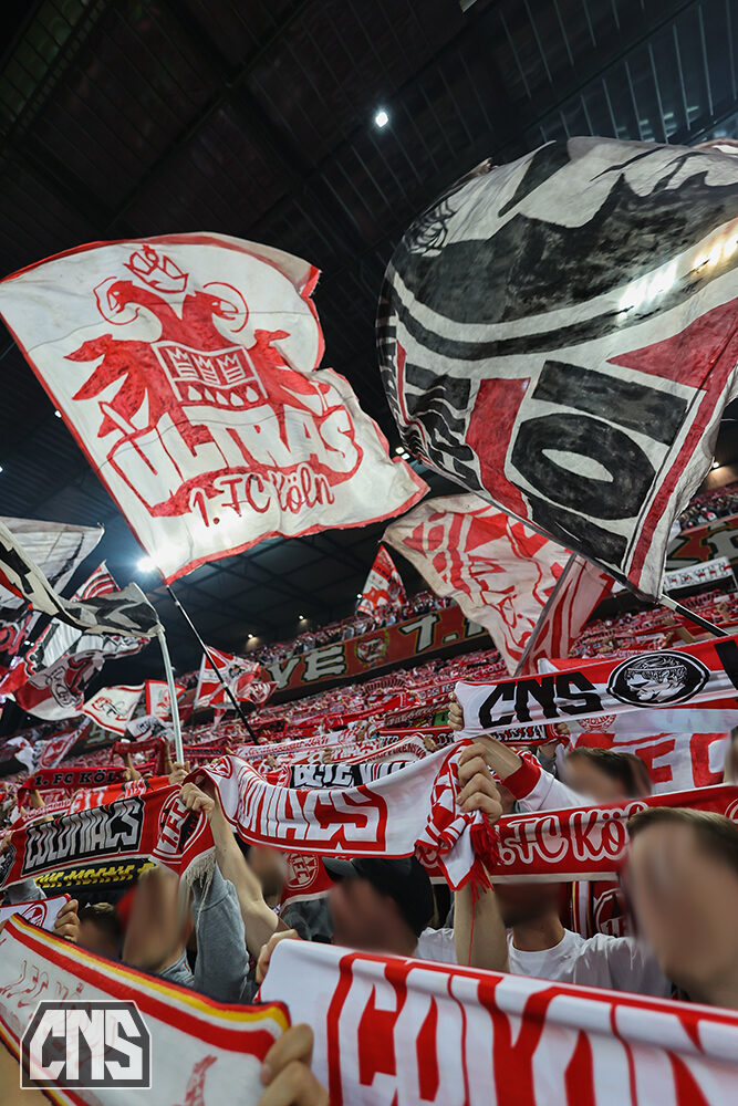 1. FC Köln – TSG Hoffenheim 1-1 (6)