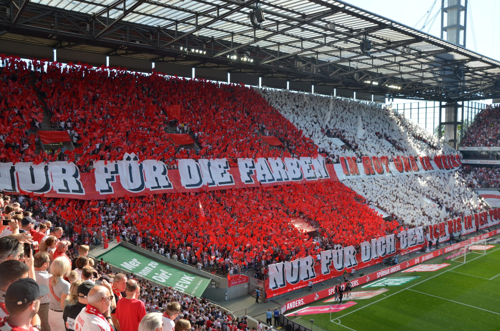 1. FC Köln – FC Schalke 04 3-1 (21)