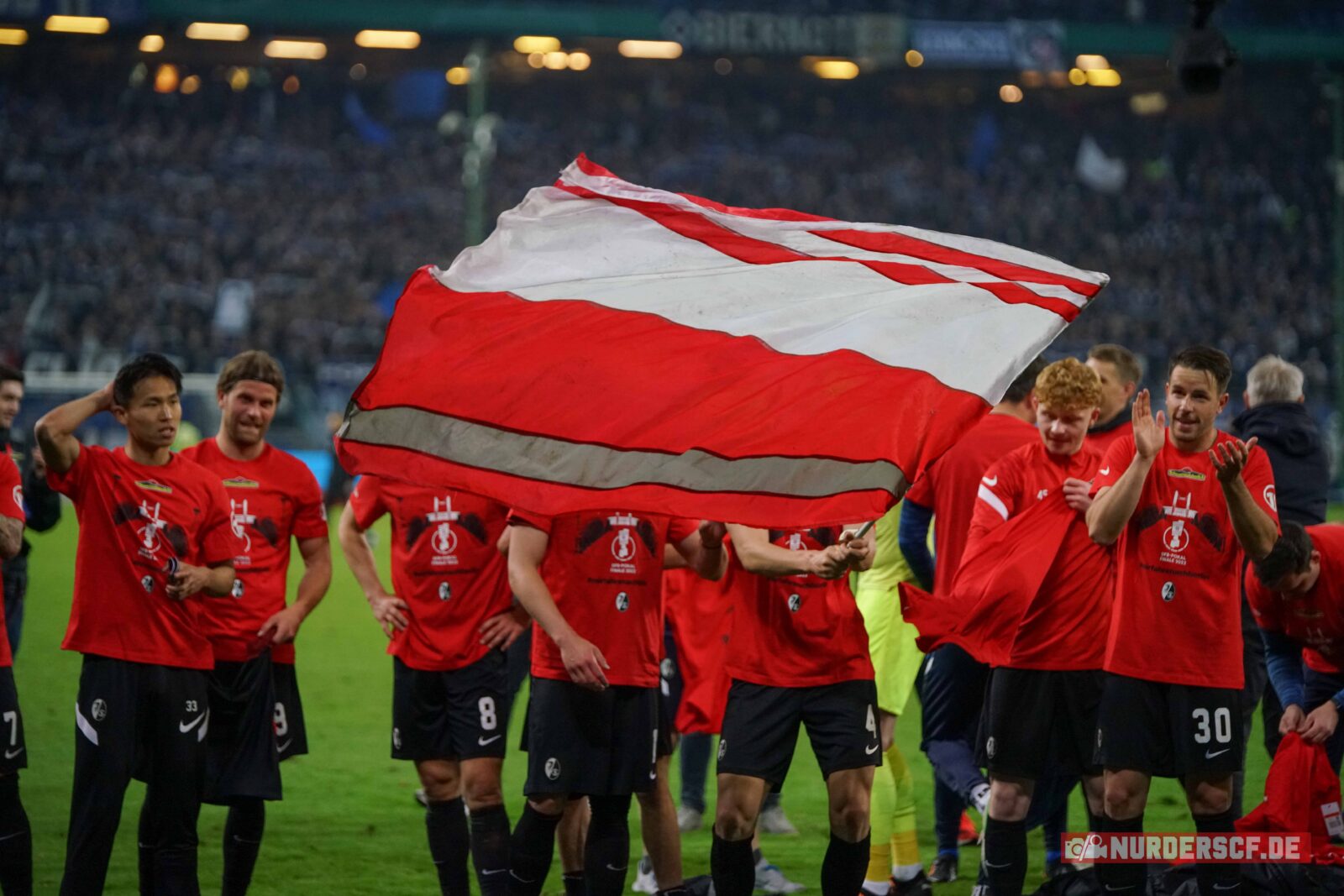 Hamburger SV – SC Freiburg 1-3 (31)