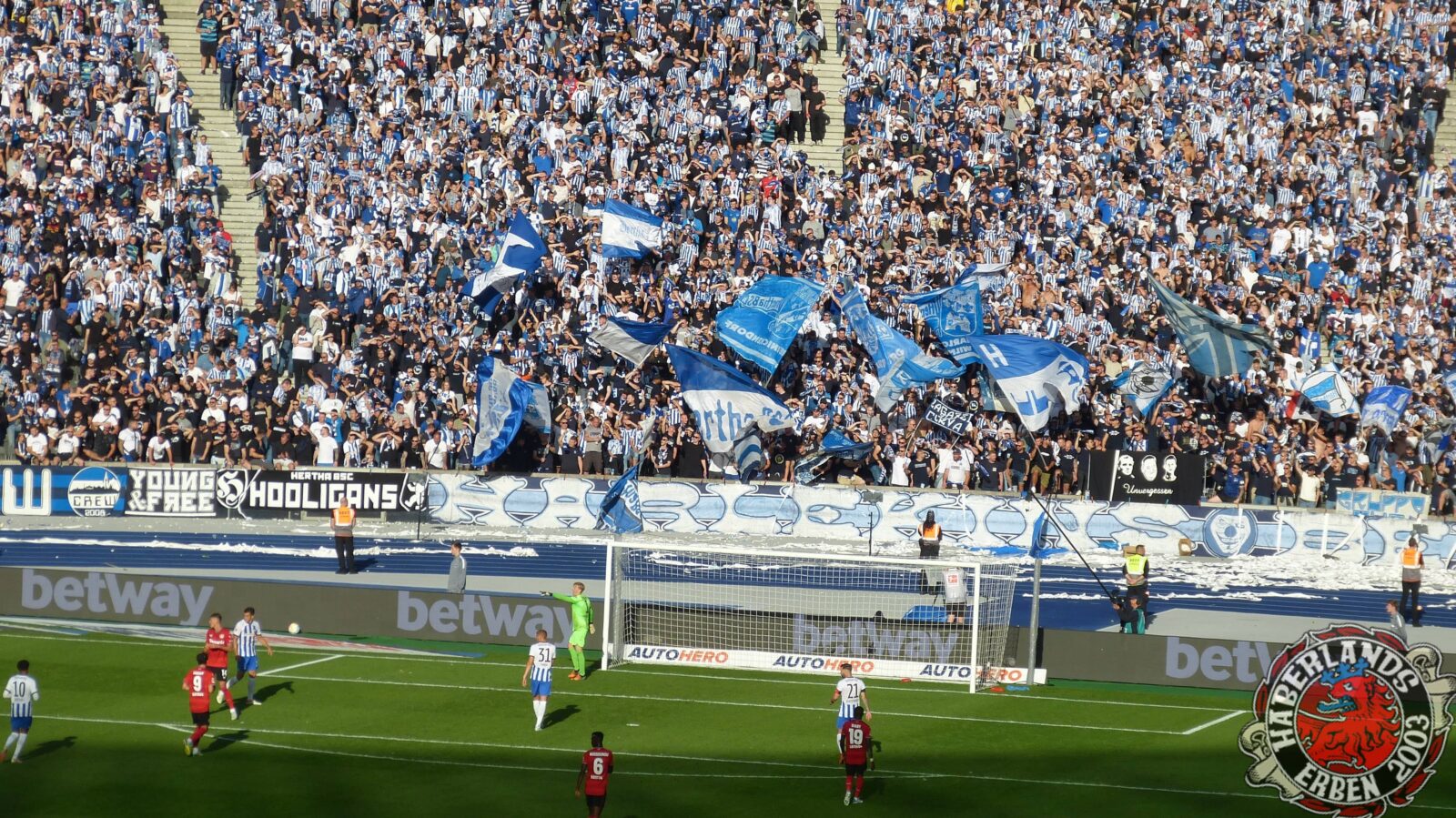 Hertha BSC – Bayer 04 Leverkusen 2-2 (24)