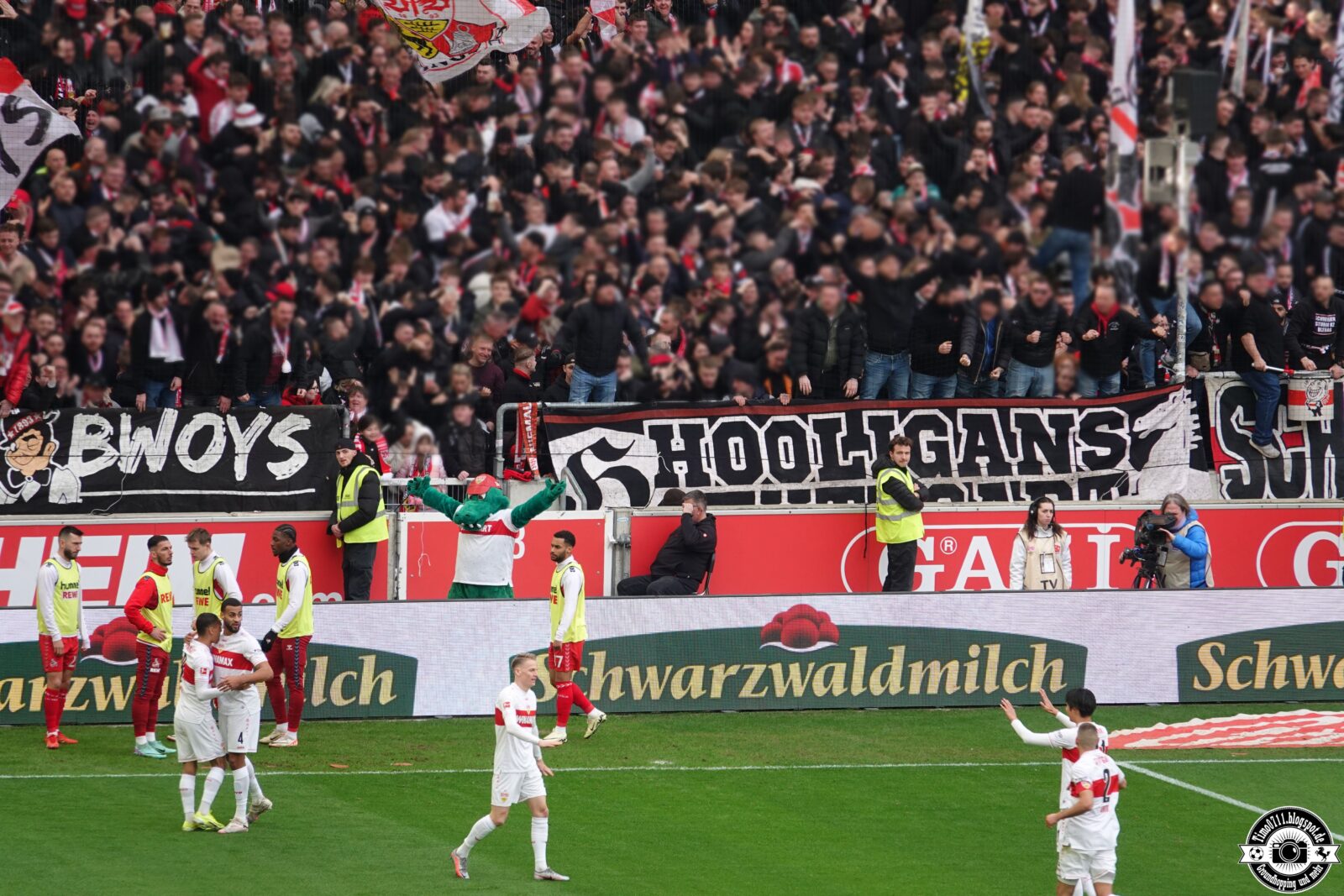 VfB Stuttgart – 1. FC Köln 1-1 (57)