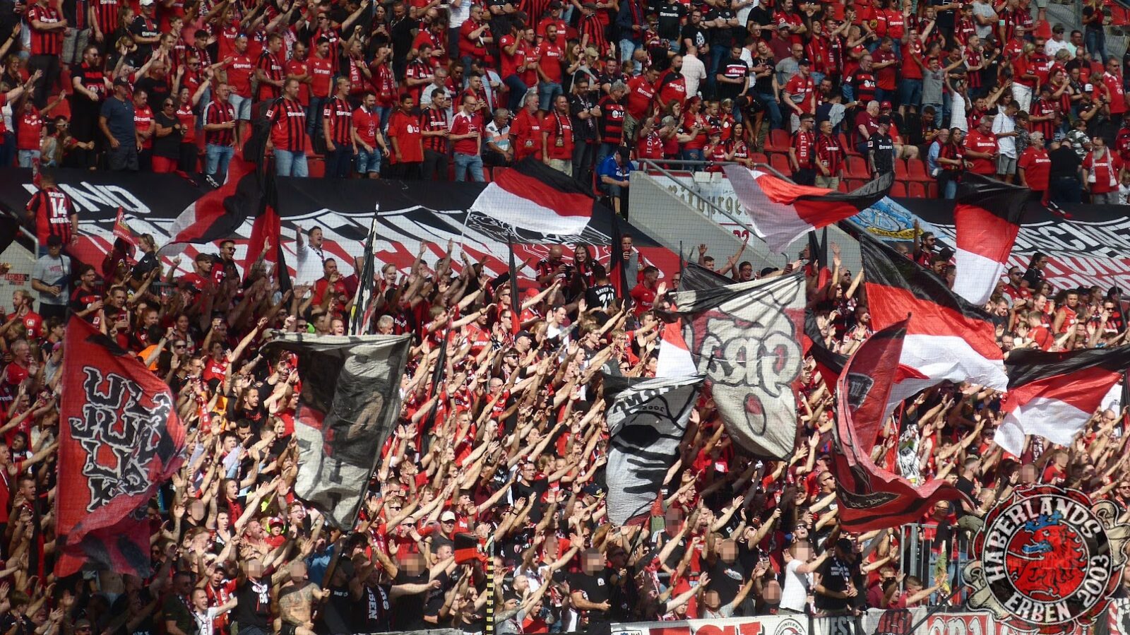 Bayer 04 Leverkusen – SC Freiburg 2-3 (11)