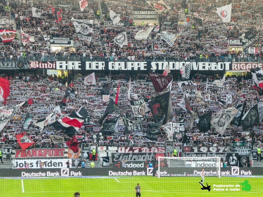 Eintracht Frankfurt – Borussia Mönchengladbach 2-0 (28)