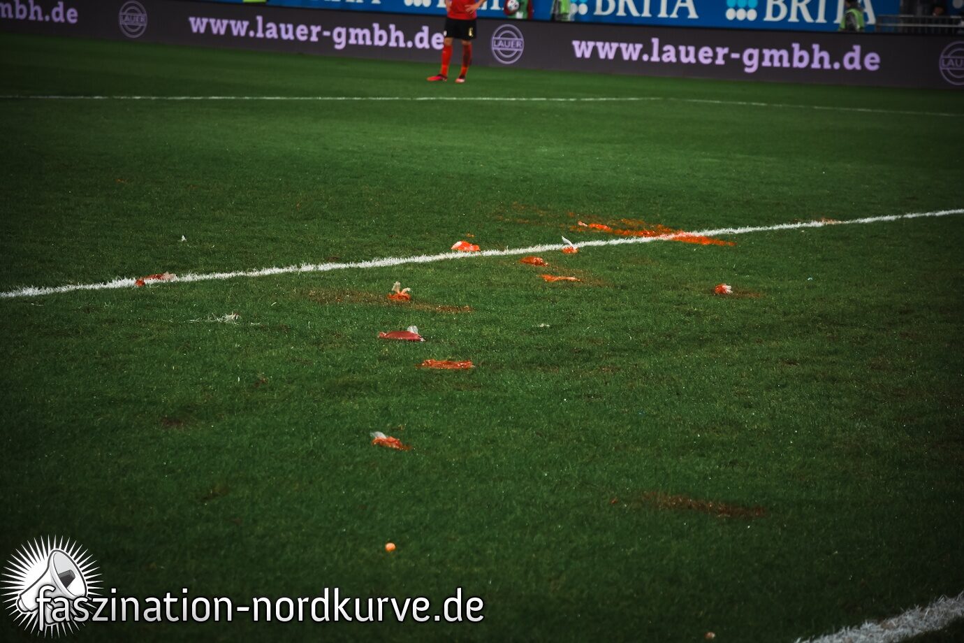 SV Wehen – 1. FC Nürnberg 1-1 (9)