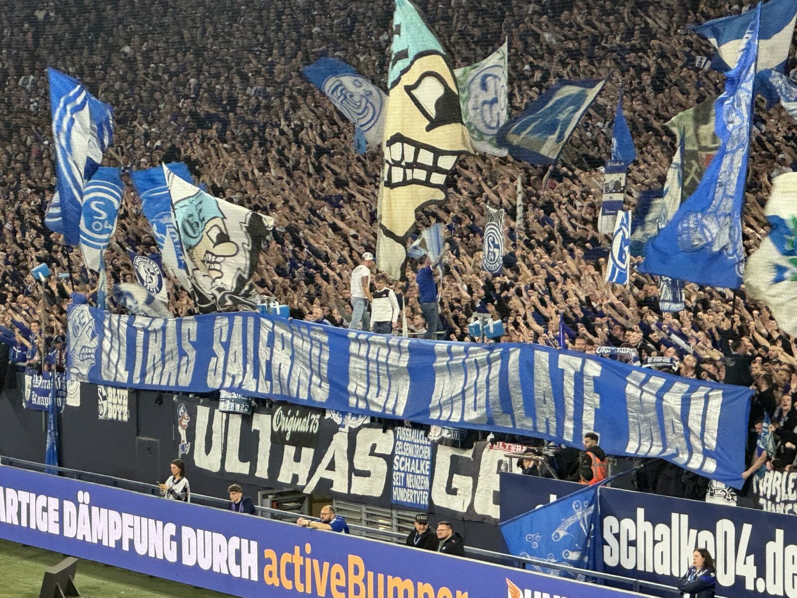 FC Schalke 04 – Fortuna Düsseldorf 1-1 (9)