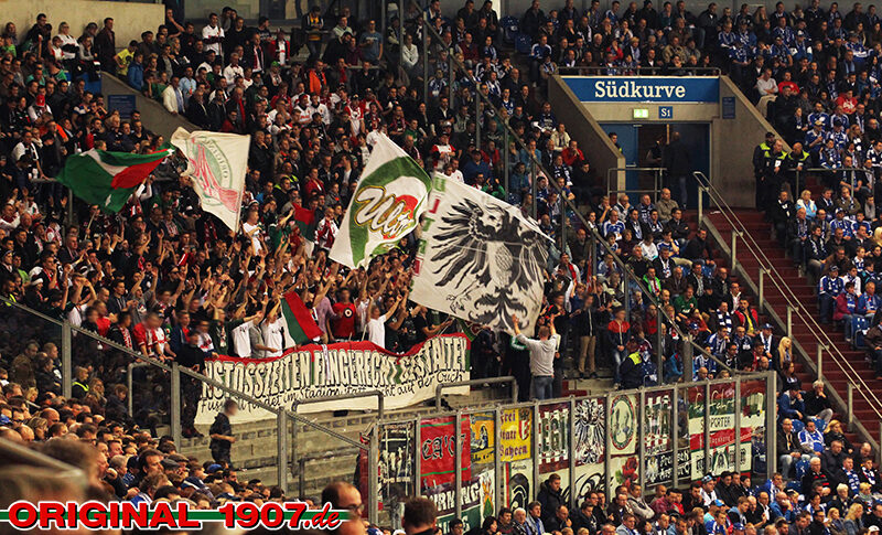 FC Schalke 04 vs FC Augsburg (1-0) (6)