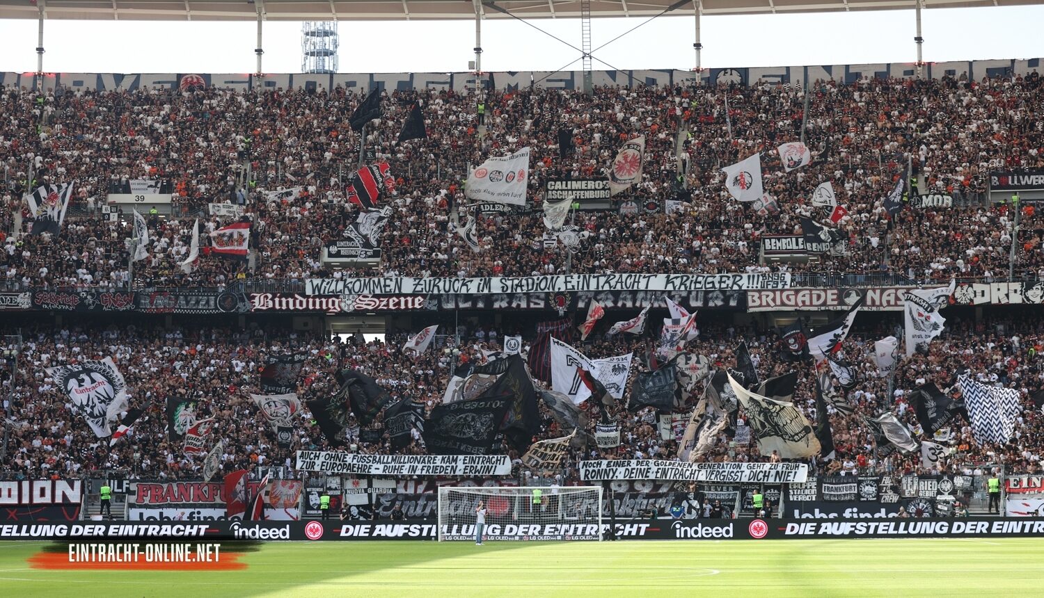 Eintracht Frankfurt – TSG Hoffenheim 3-1