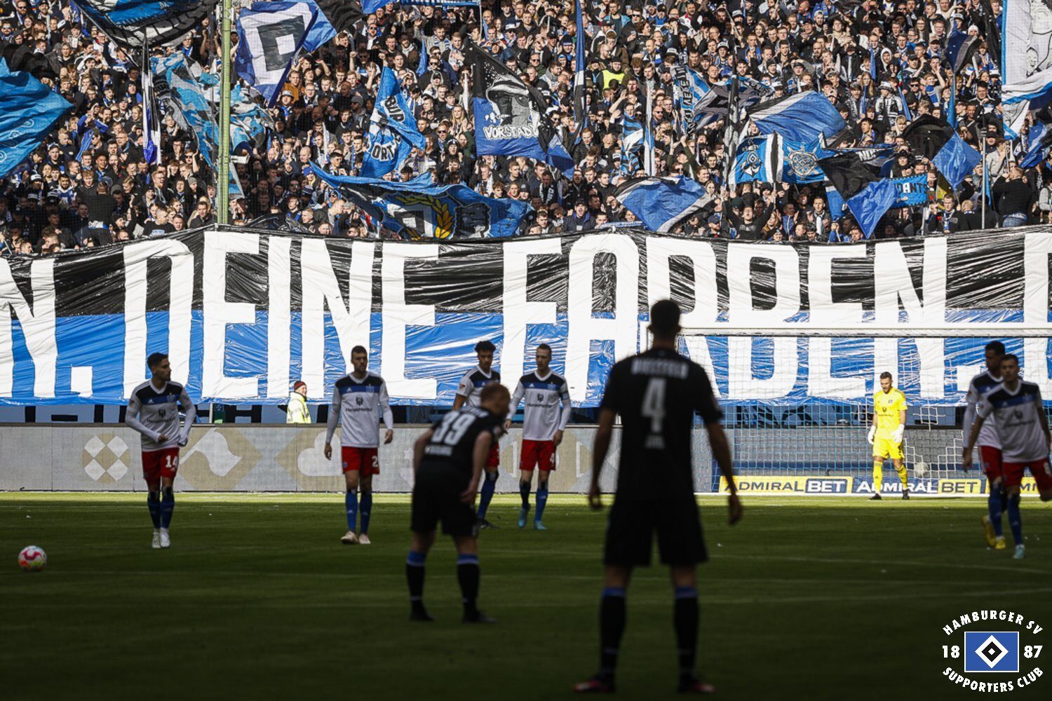 Hamburger SV – DSC Arminia Bielefeld 2-1 (14)