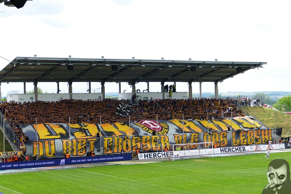 FSV Zwickau – Dynamo Dresden 0-1 (1)