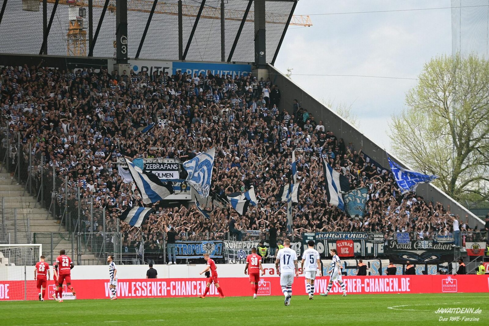 Rot-Weiss Essen – MSV Duisburg 4-1 (2)