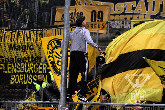 VfR Aalen vs Borussia Dortmund (1-4) (15)
