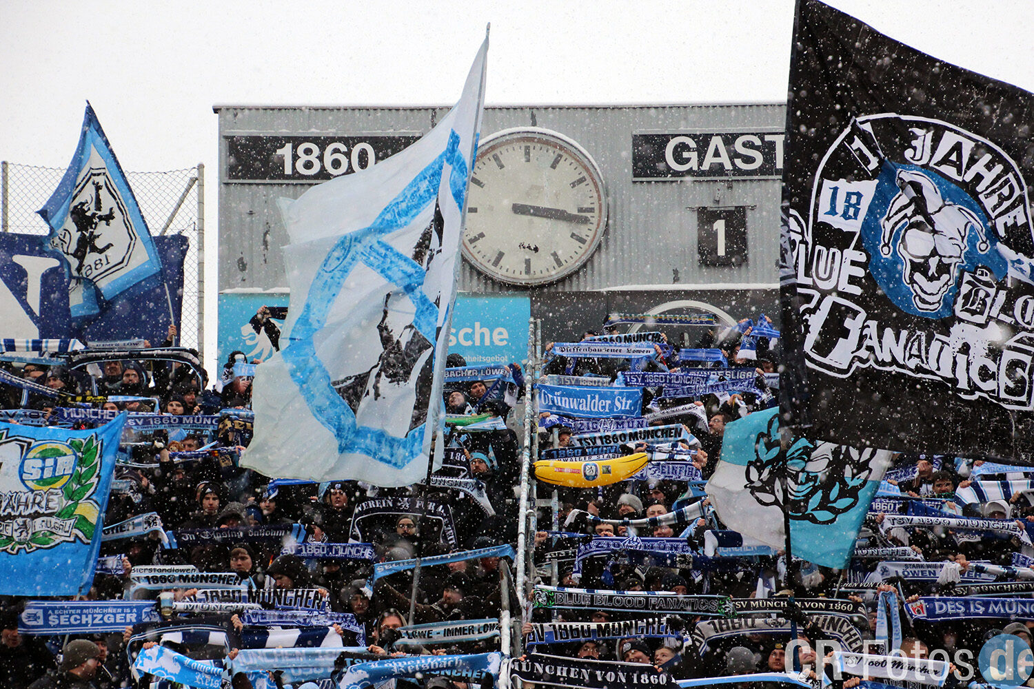 TSV 1860 München – FSV Zwickau (14)