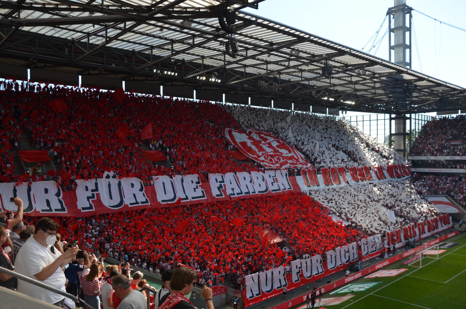 1. FC Köln – FC Schalke 04 3-1 (22)