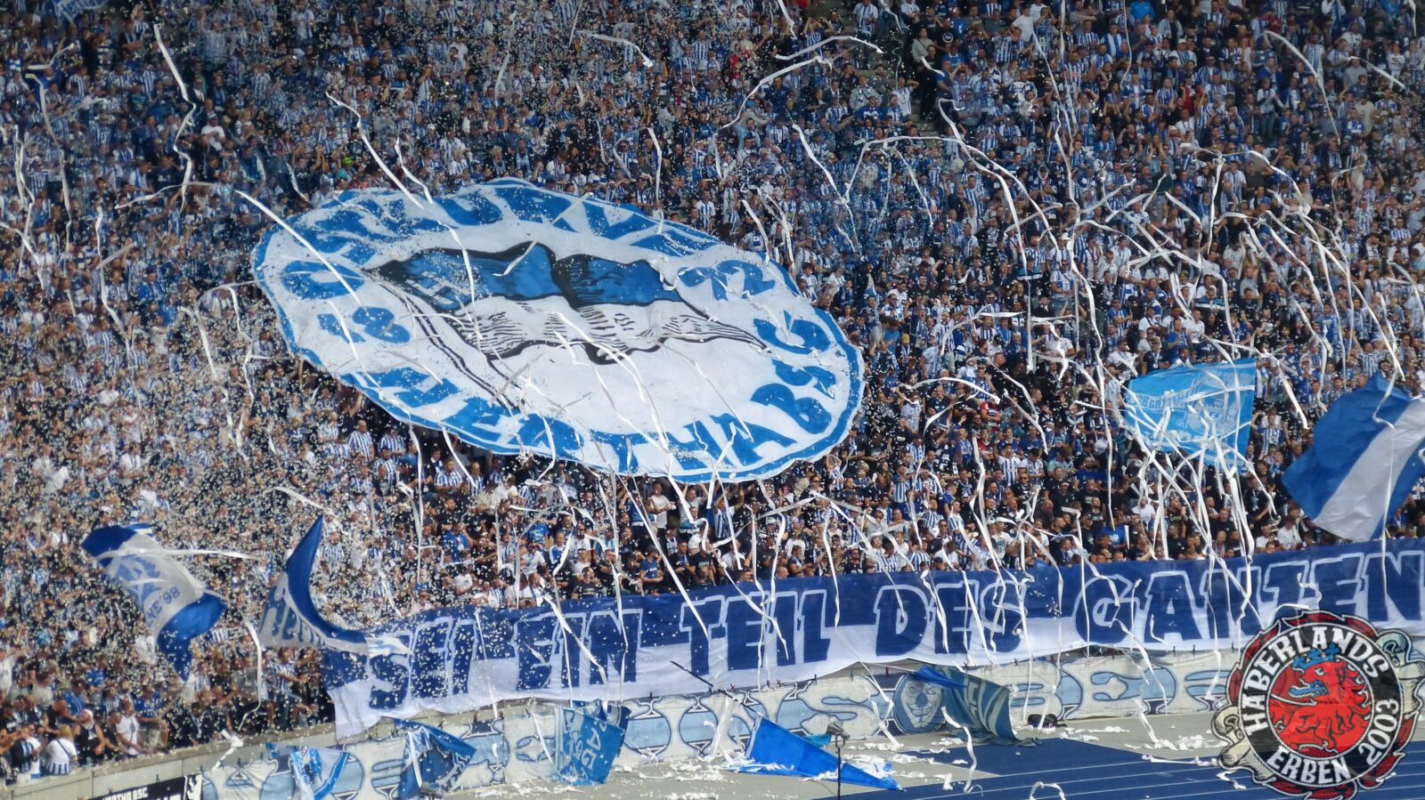 Hertha BSC – Bayer 04 Leverkusen 2-2 (16)