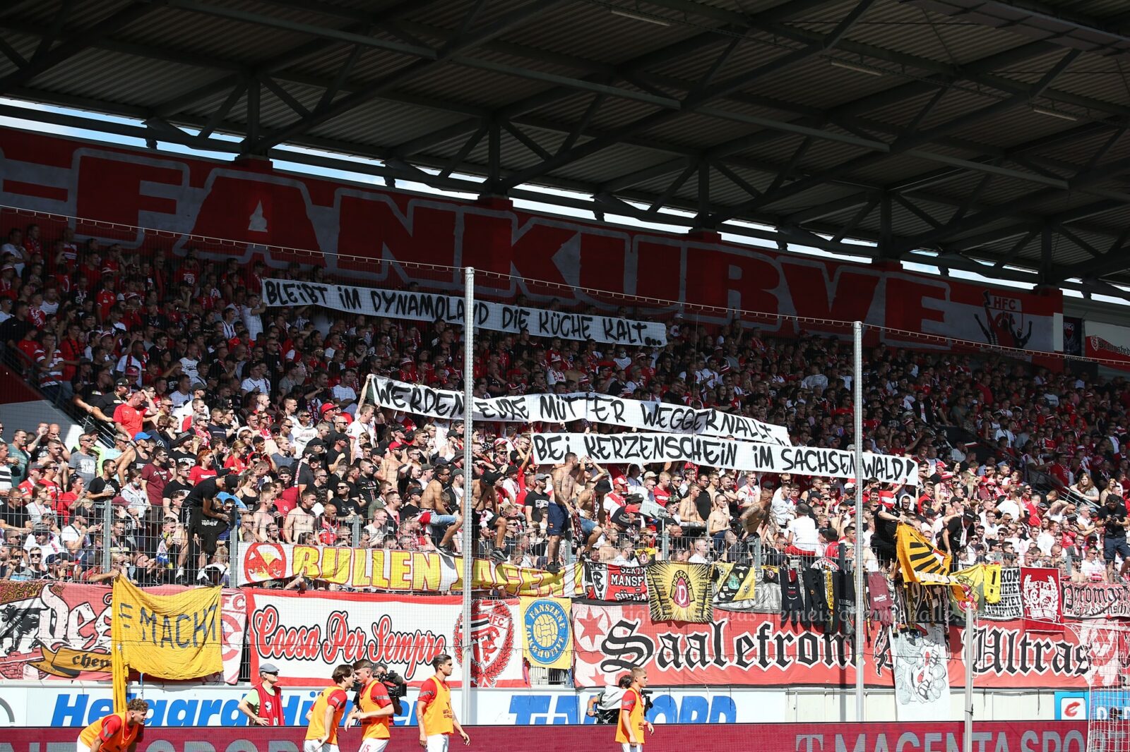 Hallescher FC – Dynamo Dresden 0-2 (18)
