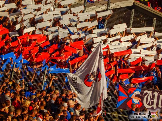VfB Stuttgart vs 1. FC Heidenheim 1846 (1-2) (8)