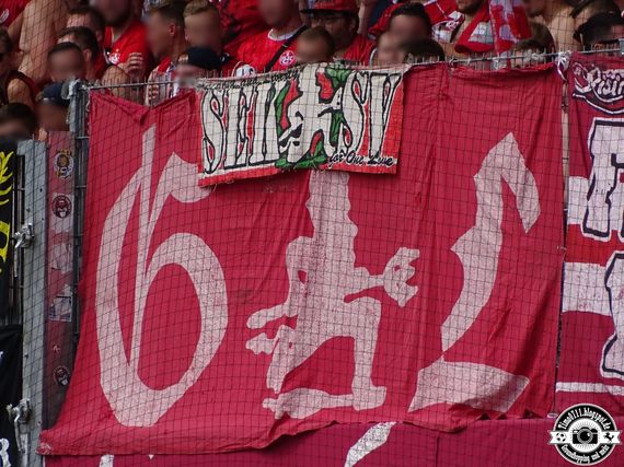 SG Sonnenhof-Großaspach vs 1. FC Kaiserslautern (0-2) (31)