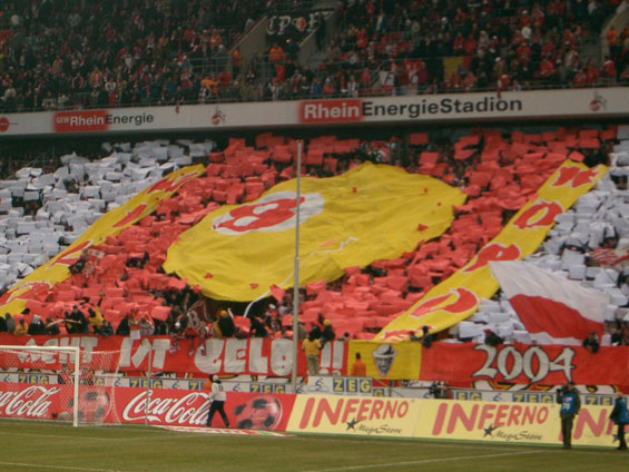 1. FC Köln vs FC Rot-Weiß Erfurt (1-1) (15)