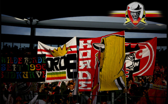 VfB Stuttgart vs 1. FC Köln (1-3) (6)