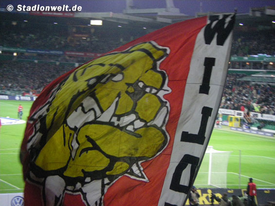 Werder Bremen vs 1. FC Köln (3-1) (12)