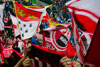 FC Schalke 04 vs 1. FC Köln (1-0)