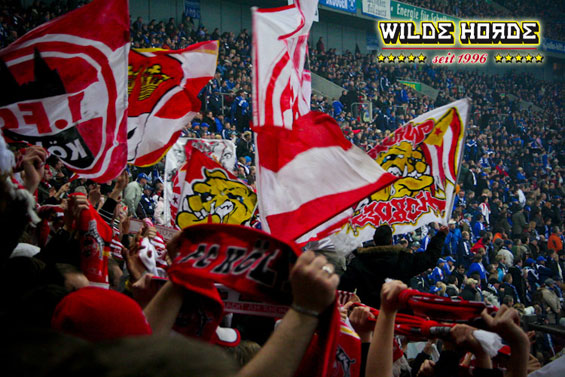 FC Schalke 04 vs 1. FC Köln (1-0) (10)