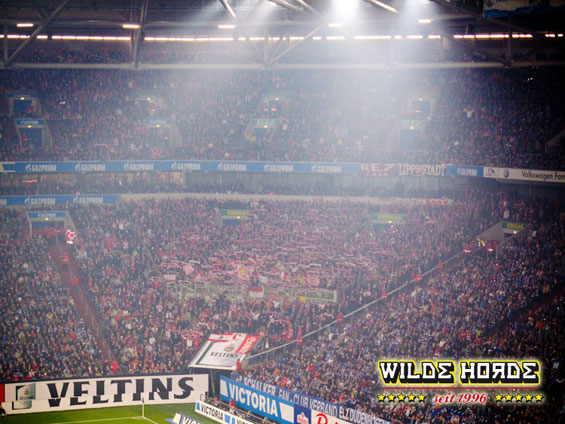 FC Schalke 04 vs 1. FC Köln (1-0) (11)