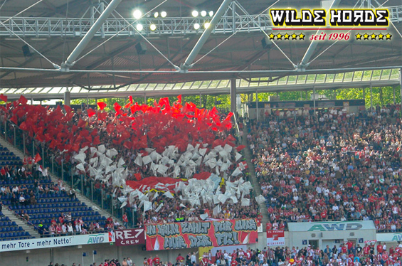 Hannover 96 vs 1. FC Köln (2-1) (6)