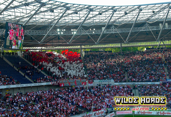 Hannover 96 vs 1. FC Köln (2-1) (8)