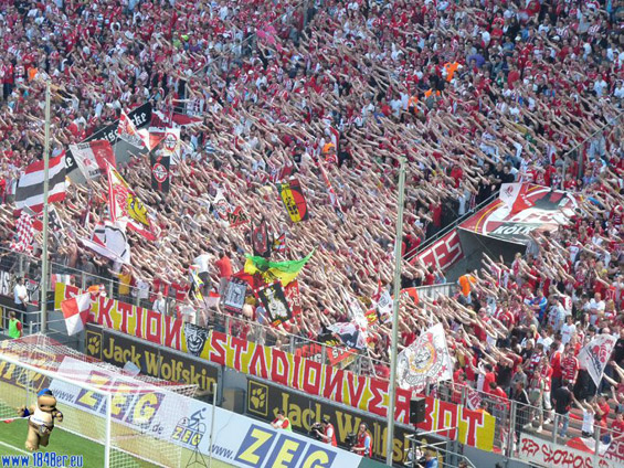 1. FC Köln vs VfL Bochum (1-1) (23)