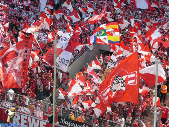 1. FC Köln vs VfL Bochum (1-1) (31)