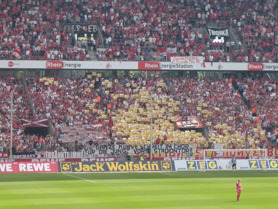 1. FC Köln vs VfL Bochum (1-1) (38)
