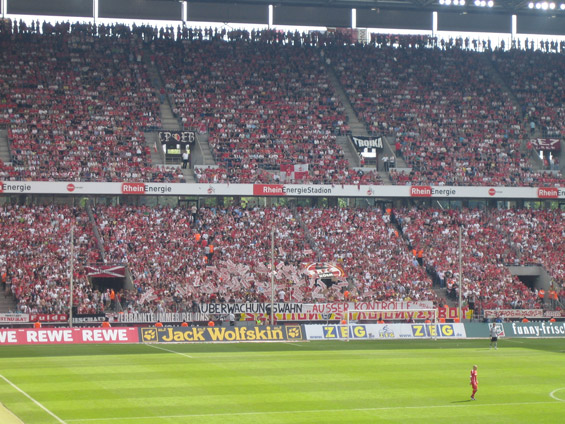 1. FC Köln vs VfL Bochum (1-1) (39)