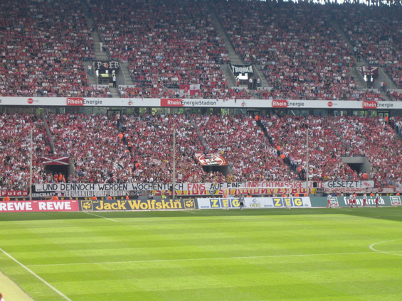 1. FC Köln vs VfL Bochum (1-1) (41)