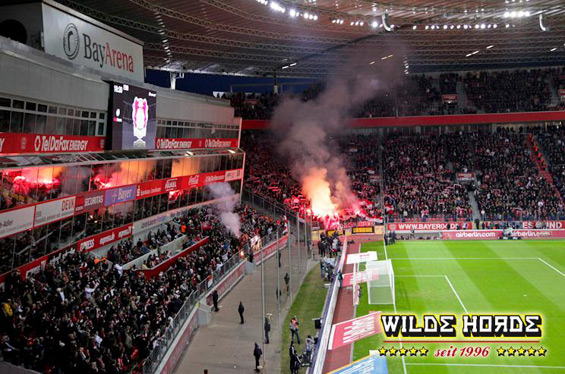 Bayer 04 Leverkusen vs 1. FC Köln (0-0) (5)