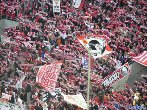 1. FC Köln vs VfL Bochum (2-0) (26)