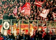 FC Schalke 04 vs 1. FC Köln (3-0)