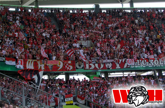 VfL Wolfsburg vs 1. FC Köln (4-1) (4)