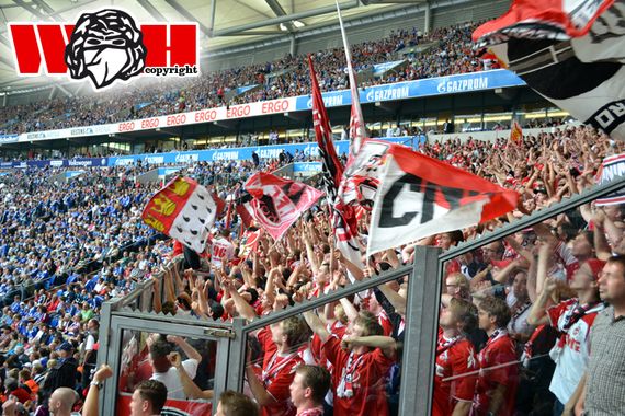 FC Schalke 04 vs 1. FC Köln (5-1)