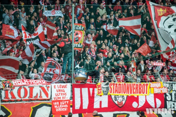 VfL Bochum vs 1. FC Köln (1-0) (14)