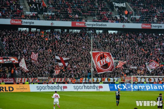 1. FC Köln vs FSV Frankfurt (2-0) (6)